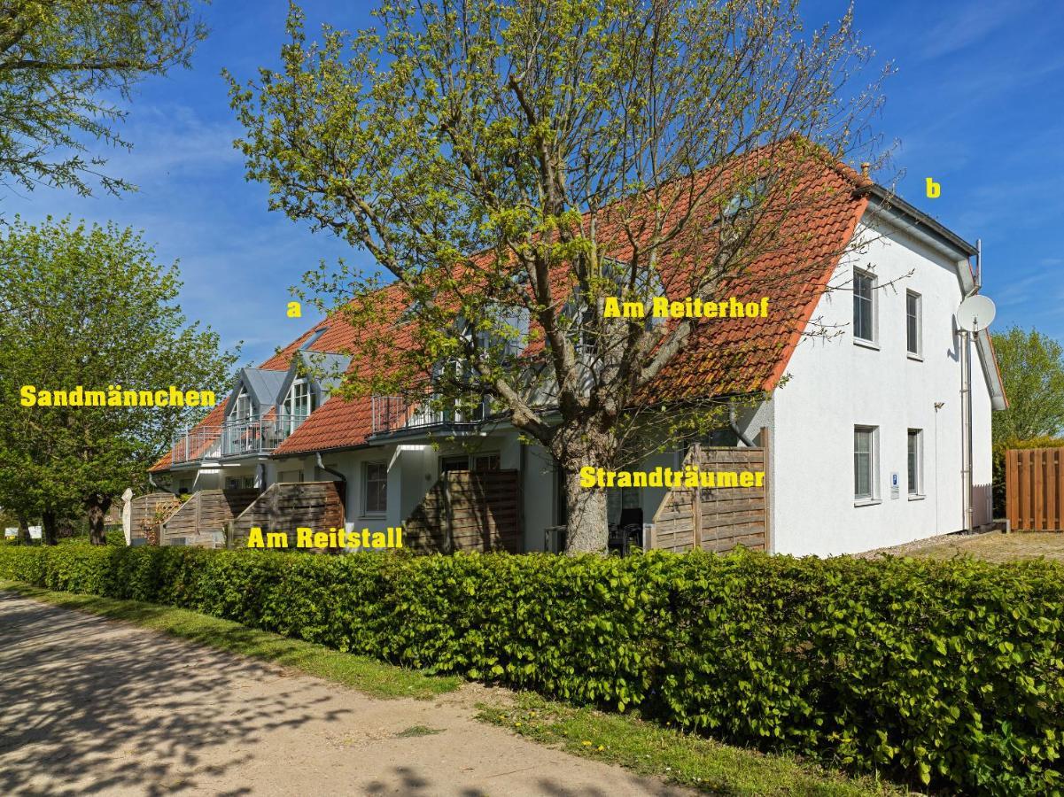 Appartements Am Reiterhof Seepferdchen تيميندورفير المظهر الخارجي الصورة